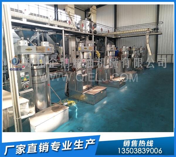 企鵝榨油機(jī):龍?zhí)锎蠖褂蛪赫ズ妄埓蠛颂矣驮O(shè)備發(fā)貨(圖3) 液壓榨油機(jī)