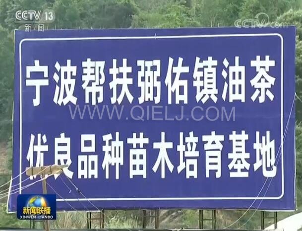 新聞聯(lián)播決戰(zhàn)決勝脫貧攻堅(jiān)之油茶樹(shù)串起的產(chǎn)業(yè)鏈(圖2) 新聞聯(lián)播決戰(zhàn)決勝脫貧攻堅(jiān)之油茶樹(shù)串起的產(chǎn)業(yè)鏈(圖2)
