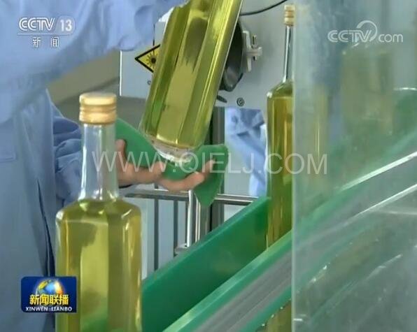 新聞聯(lián)播決戰(zhàn)決勝脫貧攻堅(jiān)之油茶樹(shù)串起的產(chǎn)業(yè)鏈(圖3) 新聞聯(lián)播決戰(zhàn)決勝脫貧攻堅(jiān)之油茶樹(shù)串起的產(chǎn)業(yè)鏈(圖3)